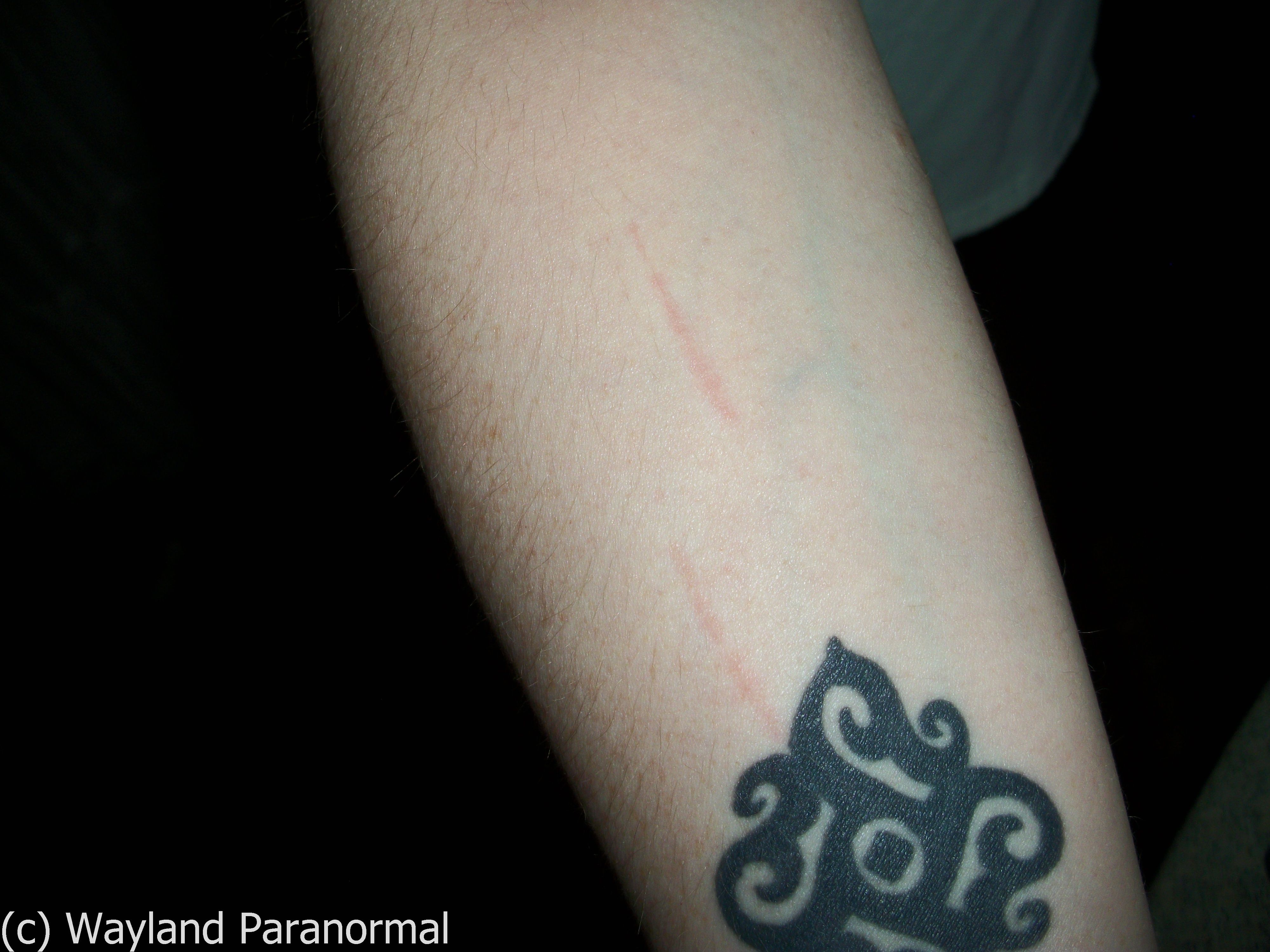 wayland paranormal